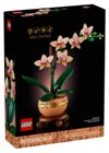MINI-ORCHIDEA