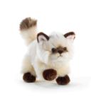 THAYTOO' GATTO COLOR POINT L.21 CM