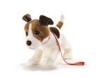 MILO' JRT CON GUINZAGLIO