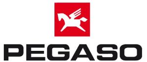 Sfoglia pegaso