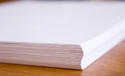 Sfoglia CARTA