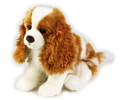 Sfoglia CANI