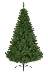 Sfoglia ALBERI NORMALI